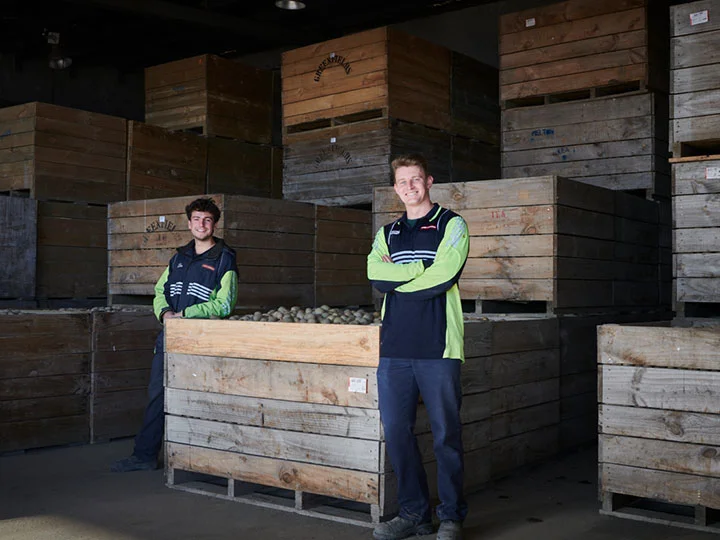 Our Team of experts